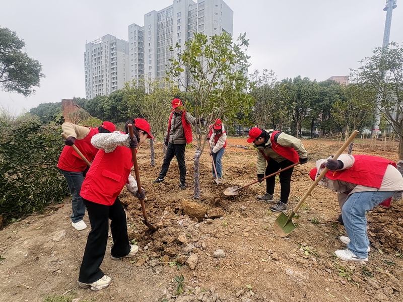 1773881915928005.jpg 1773881915928005.jpg