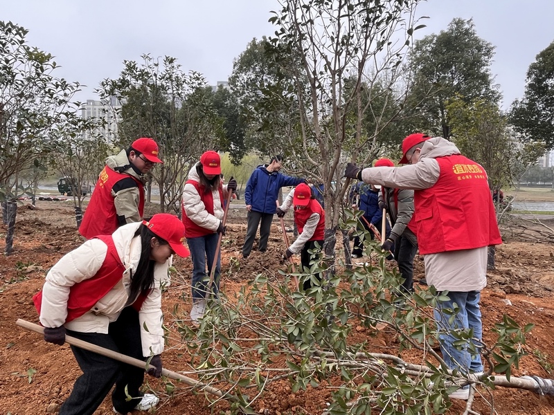 1773881923759869.jpg 1773881923759869.jpg